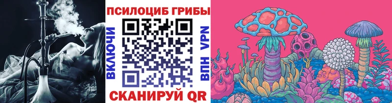 Галлюциногенные грибы прущие грибы Курчалой